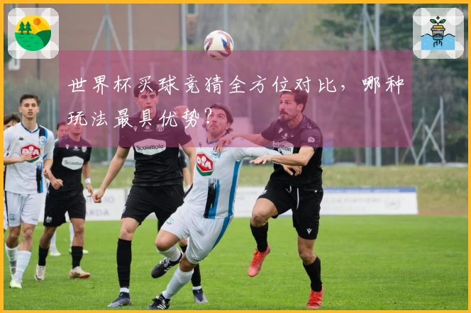 世界杯买球竞猜全方位对比，哪种玩法最具优势？