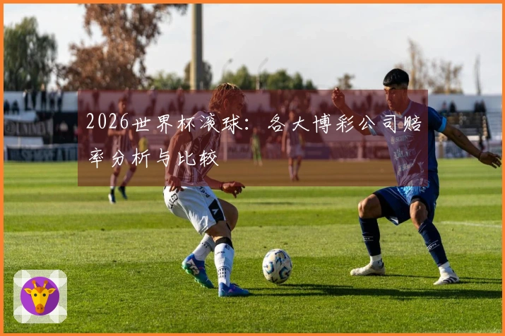 2026世界杯滚球：各大博彩公司赔率分析与比较