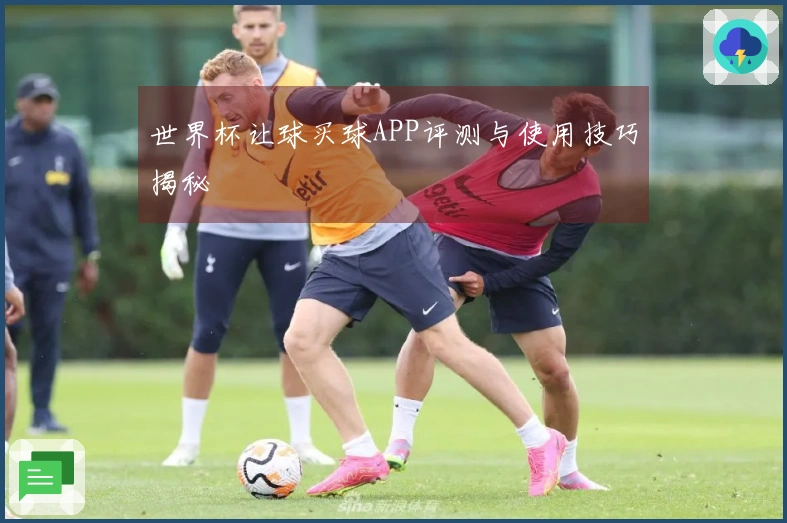 世界杯让球买球APP评测与使用技巧揭秘