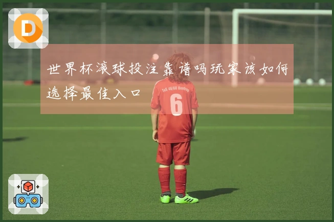 世界杯滚球投注靠谱吗玩家该如何选择最佳入口