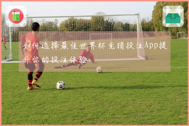 如何选择最佳世界杯竞猜投注App提升你的投注体验