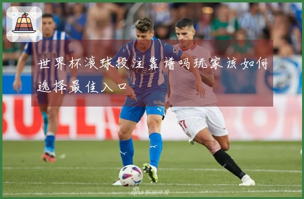 世界杯滚球投注靠谱吗玩家该如何选择最佳入口