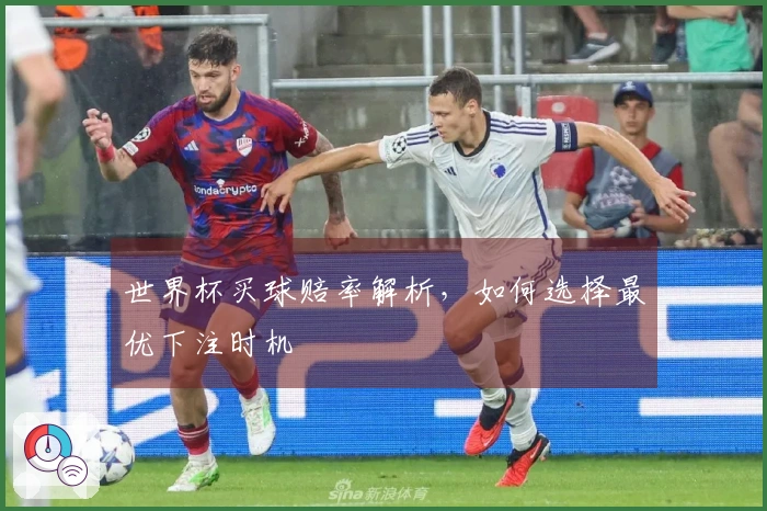 世界杯买球赔率解析，如何选择最优下注时机