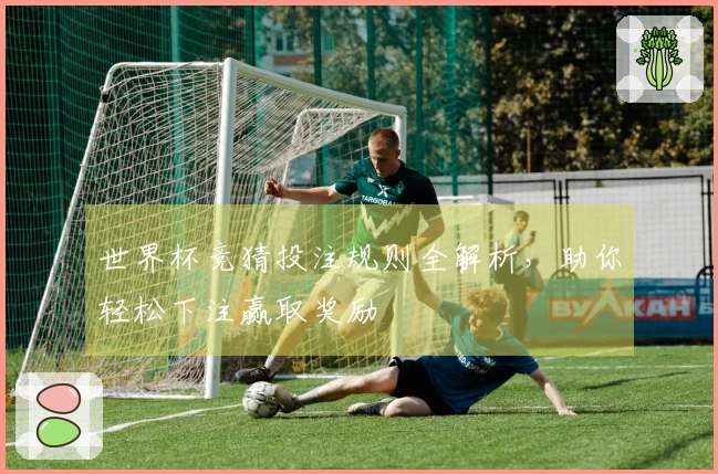 世界杯竞猜投注规则全解析，助你轻松下注赢取奖励