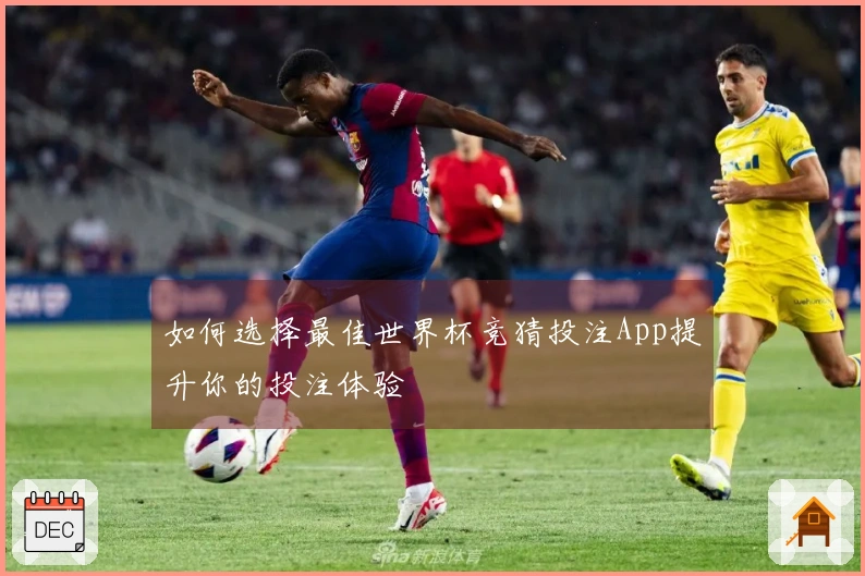如何选择最佳世界杯竞猜投注App提升你的投注体验