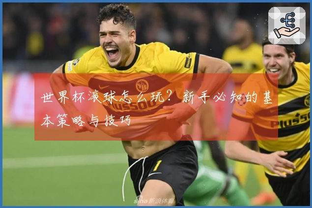 世界杯滚球怎么玩？新手必知的基本策略与技巧