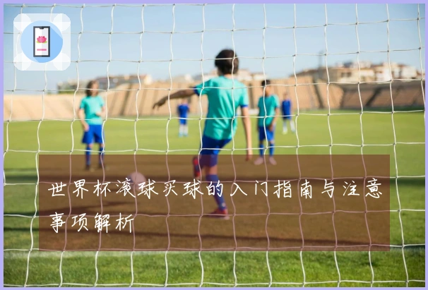 世界杯滚球买球的入门指南与注意事项解析